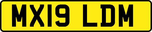 MX19LDM