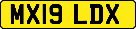 MX19LDX