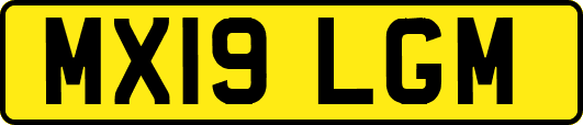 MX19LGM
