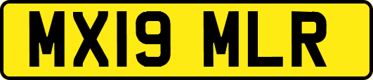 MX19MLR