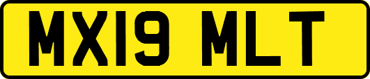 MX19MLT