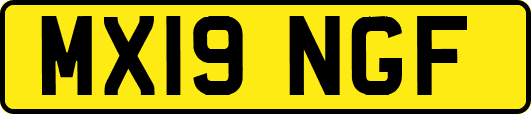 MX19NGF