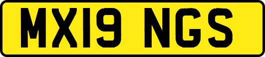 MX19NGS