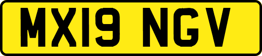 MX19NGV