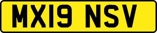 MX19NSV