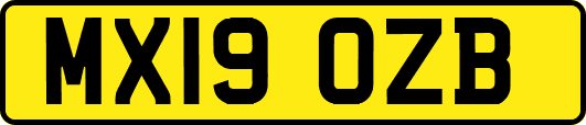 MX19OZB