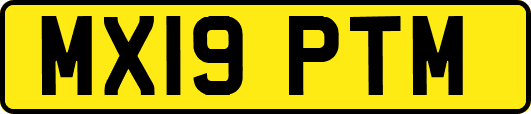 MX19PTM