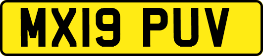 MX19PUV
