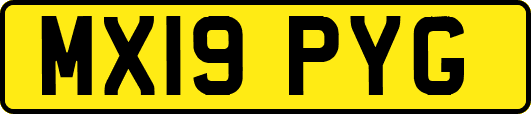 MX19PYG