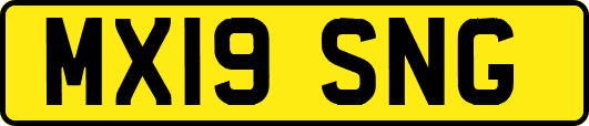 MX19SNG