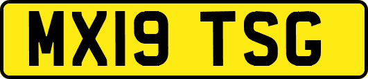 MX19TSG