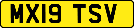 MX19TSV