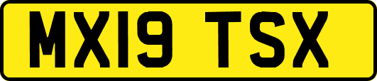 MX19TSX