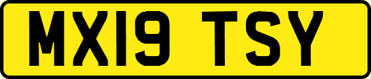 MX19TSY