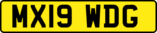 MX19WDG