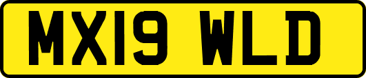 MX19WLD