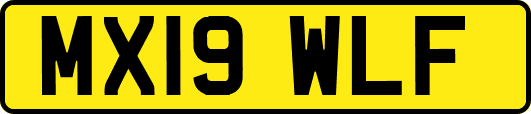 MX19WLF