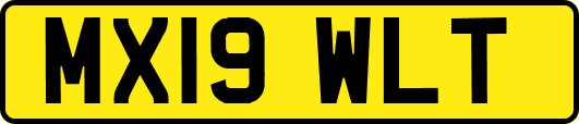 MX19WLT