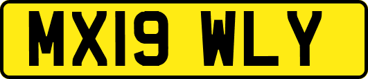 MX19WLY