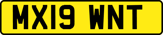 MX19WNT