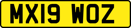 MX19WOZ