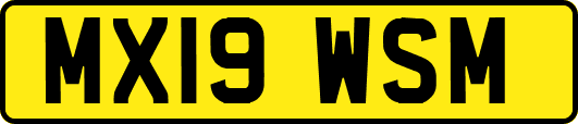MX19WSM