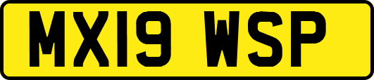 MX19WSP