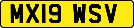 MX19WSV