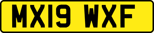 MX19WXF