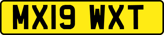 MX19WXT