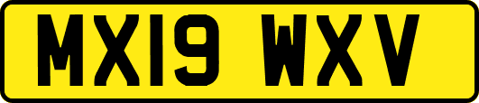 MX19WXV