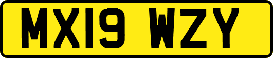 MX19WZY