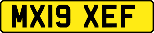 MX19XEF