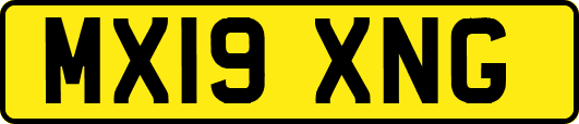 MX19XNG