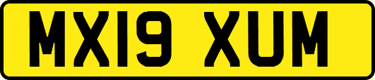 MX19XUM