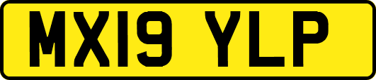 MX19YLP