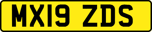 MX19ZDS