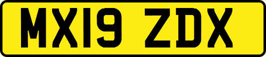 MX19ZDX