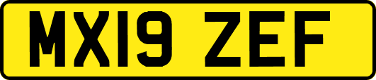 MX19ZEF