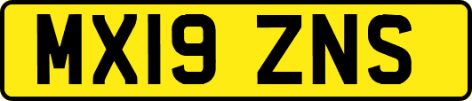 MX19ZNS