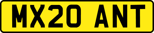 MX20ANT