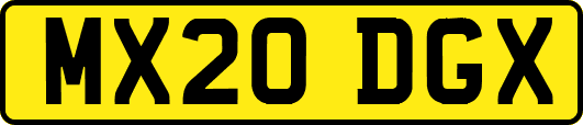 MX20DGX