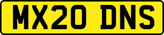 MX20DNS