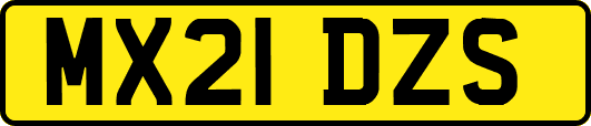 MX21DZS