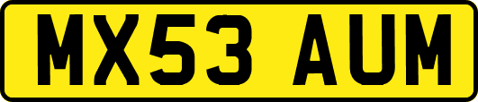 MX53AUM