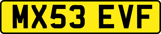 MX53EVF