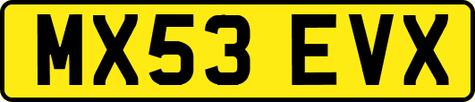 MX53EVX