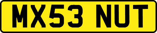 MX53NUT