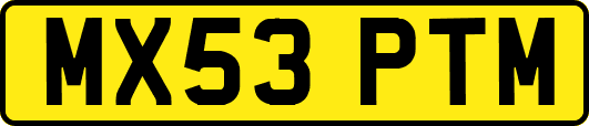 MX53PTM