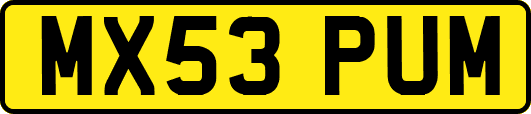 MX53PUM